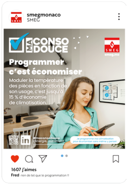 Image d'encart